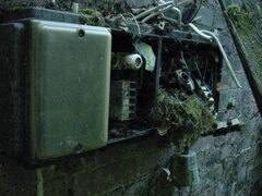 DSC00757.JPG