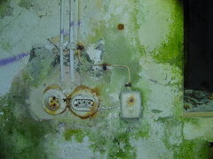 DSC00761.JPG