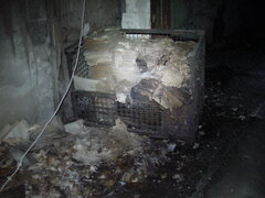 DSC00773.JPG