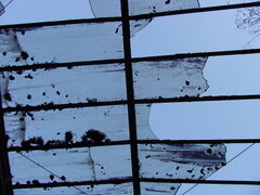 DSC00779.JPG