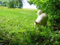 DSC00473.JPG