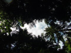 DSC00488.JPG