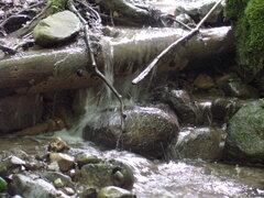 DSC00499.JPG