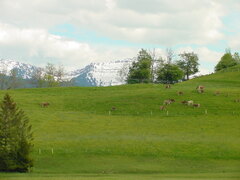 DSC00513.JPG