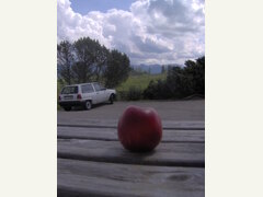 IM000426_2.JPG