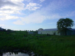 DSC01040.jpg