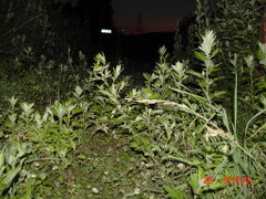 MVC-005F_0a47642de7fd.JPG