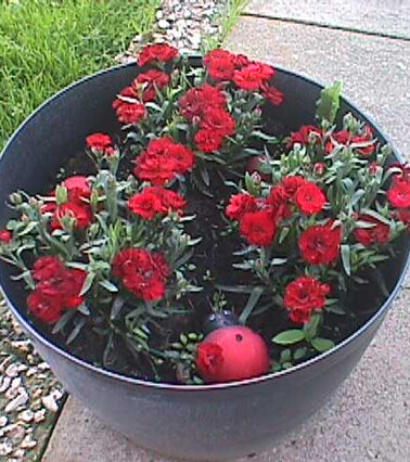 GARDEN