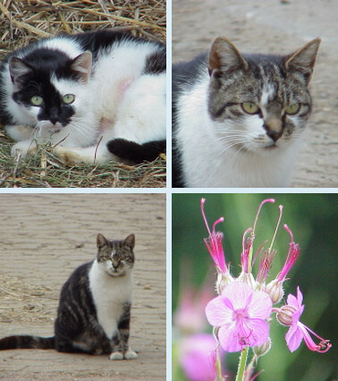 FD91/Photos/ALL BY DATE/UNDEFINED FD91