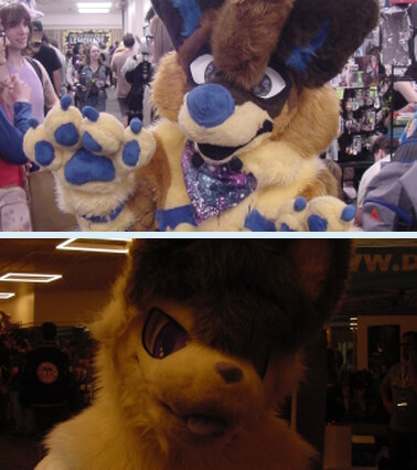 FD95/FURCONS/GRANITE STATE COMIC CON
