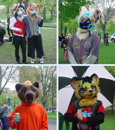 FD100/FURCONS/BOSTON/MAY PICNIC