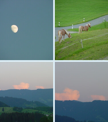 FD97/NICE SUMMER EVENING 26.05.26