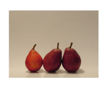 Preview for: FD95: Three Pears