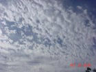 Preview for: went on a walk today :3 FD200